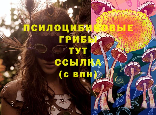 mdpv Алзамай